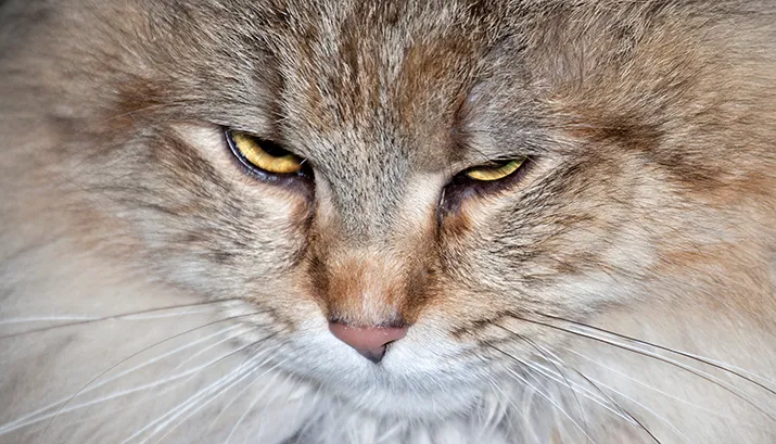 wim meijer fotografie mg 0560