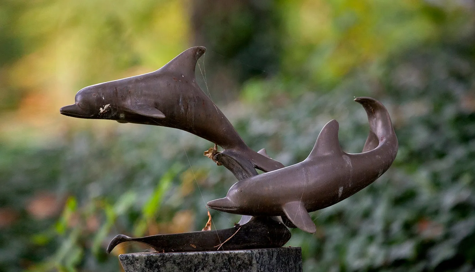 wim meijer fotografie westerveld banner