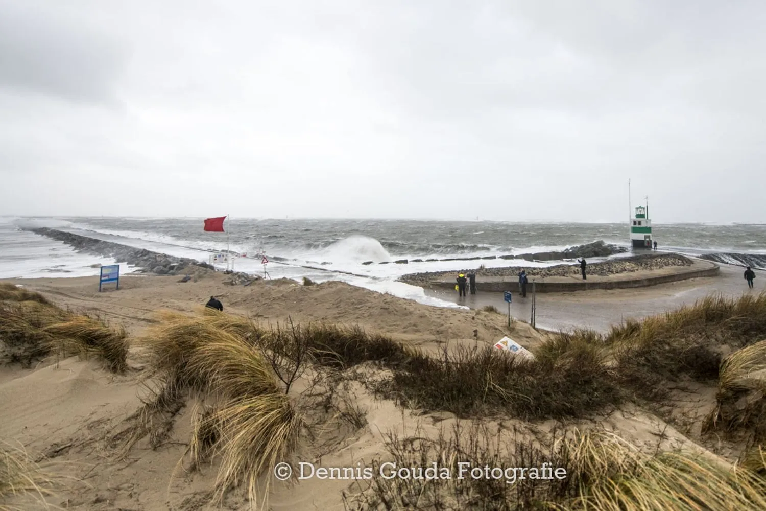 273127416 667928287885859 5438018764500602610 n kopieren