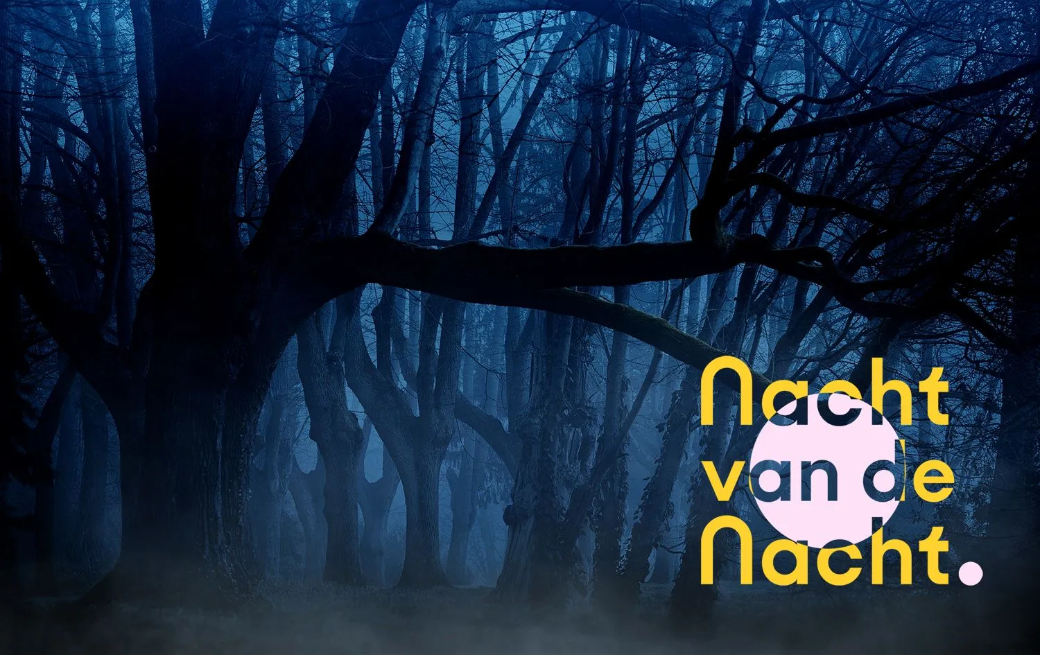 forest 3394066 1920 kopieren