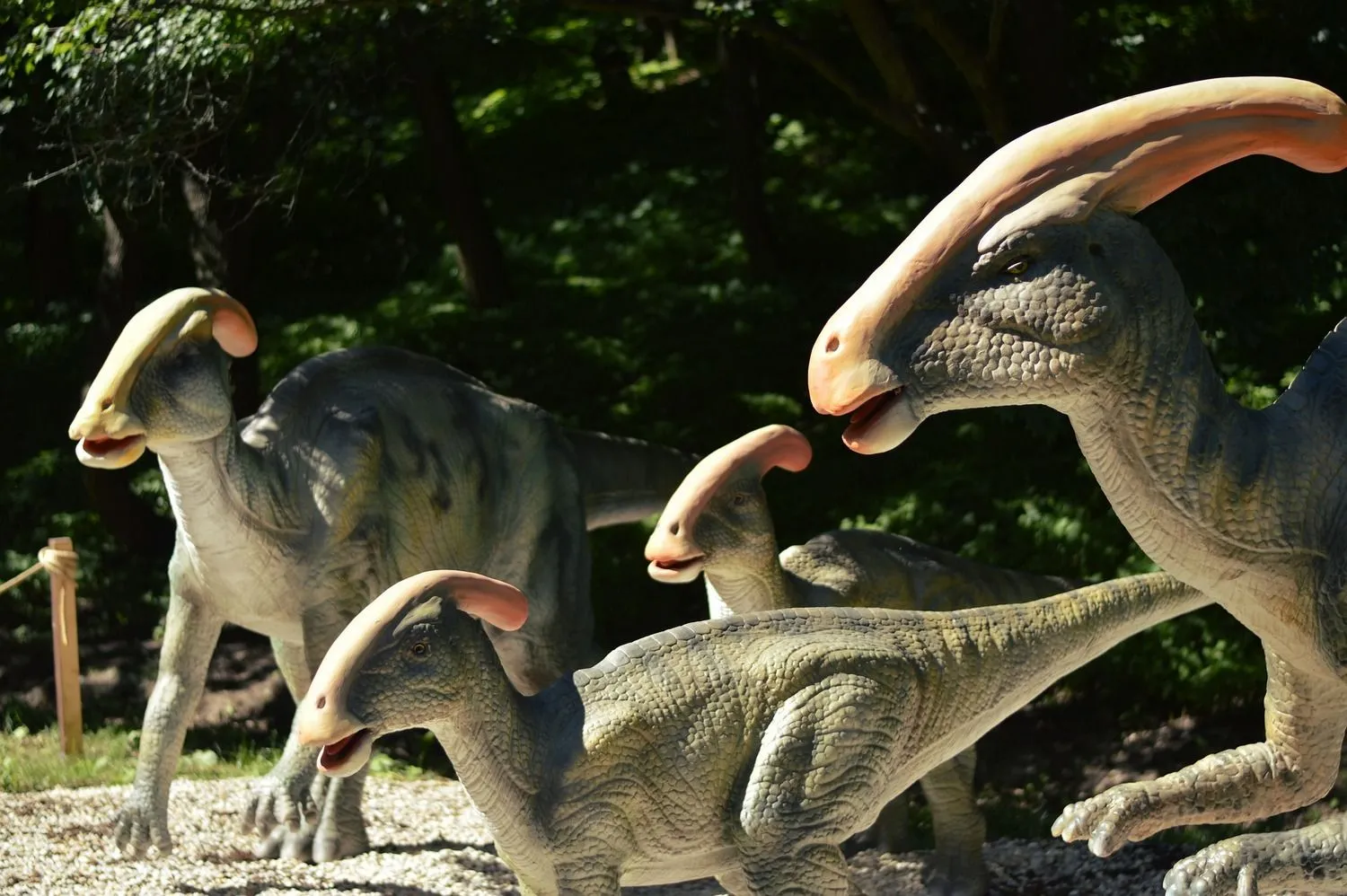 dinosaurus