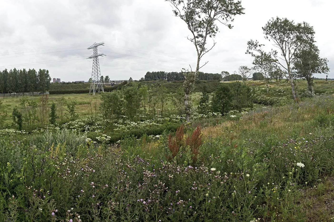 aagtenpark panorama4