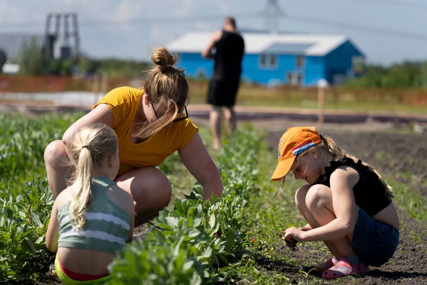 rorik schoffelen op 23 juni 2024 12