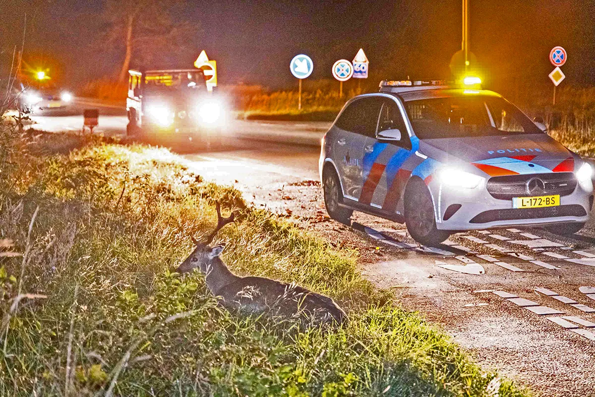 13 november 2021 nieuwsfoto zeeweg 02