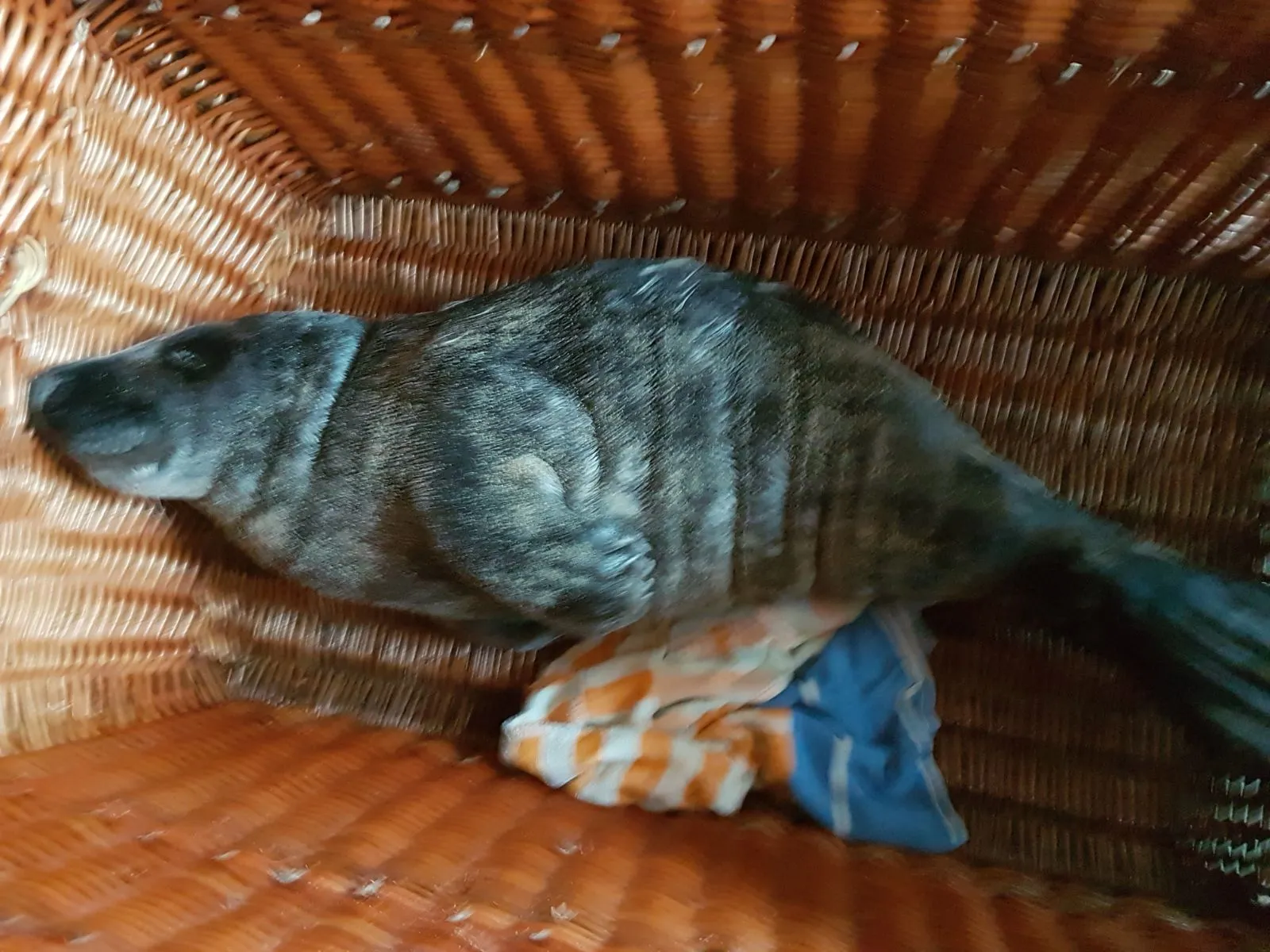 2018 01 04 photo 00001765