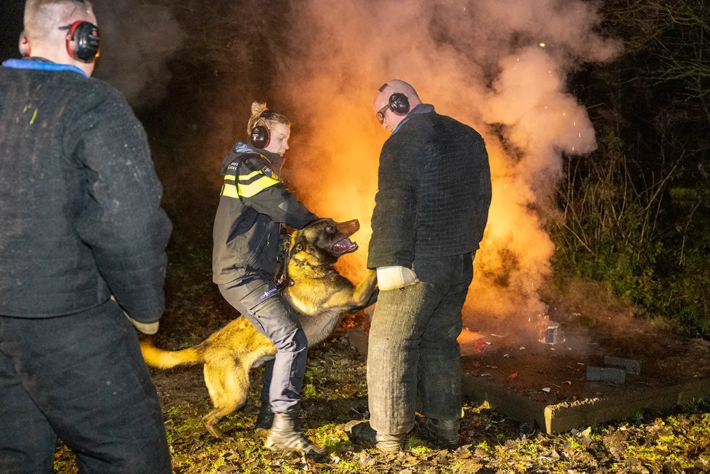 20221222 vuurwerk politiehonden 04