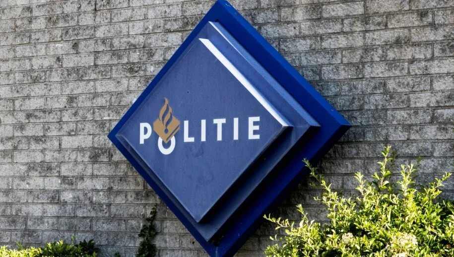 3z1a2154 915x518 1 1