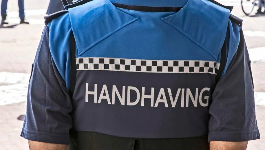 3z1a2327 boa 915x518 1 915x518 1