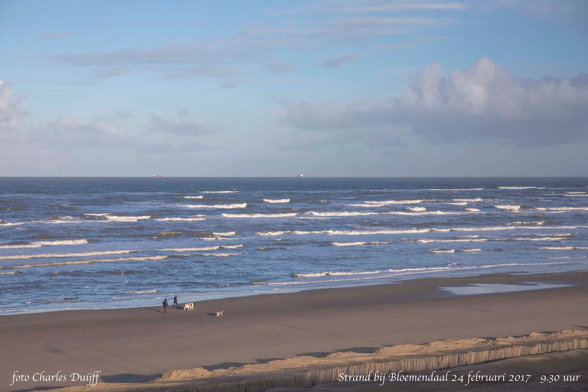 bloemendaalse strand