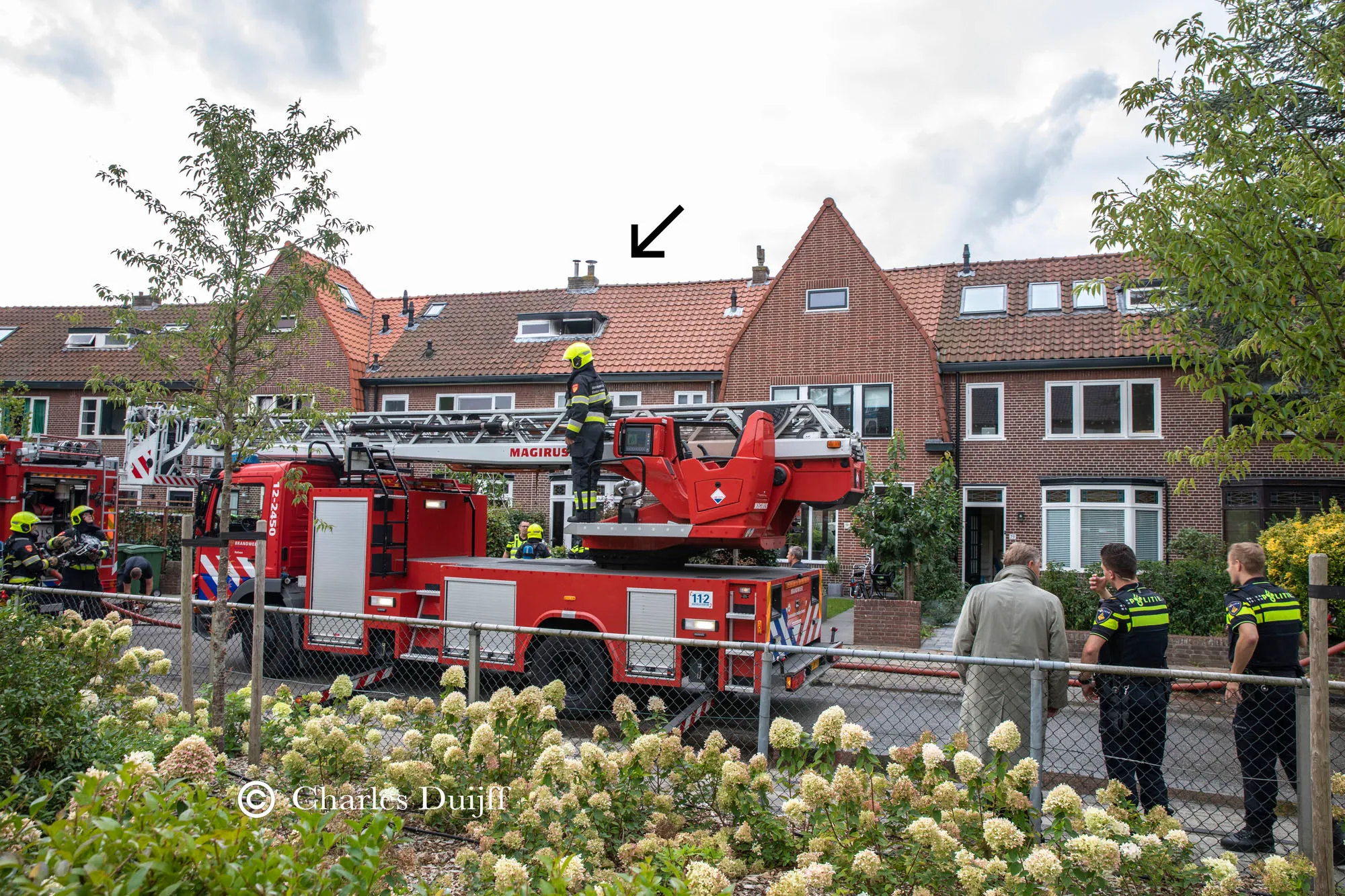 brand burg