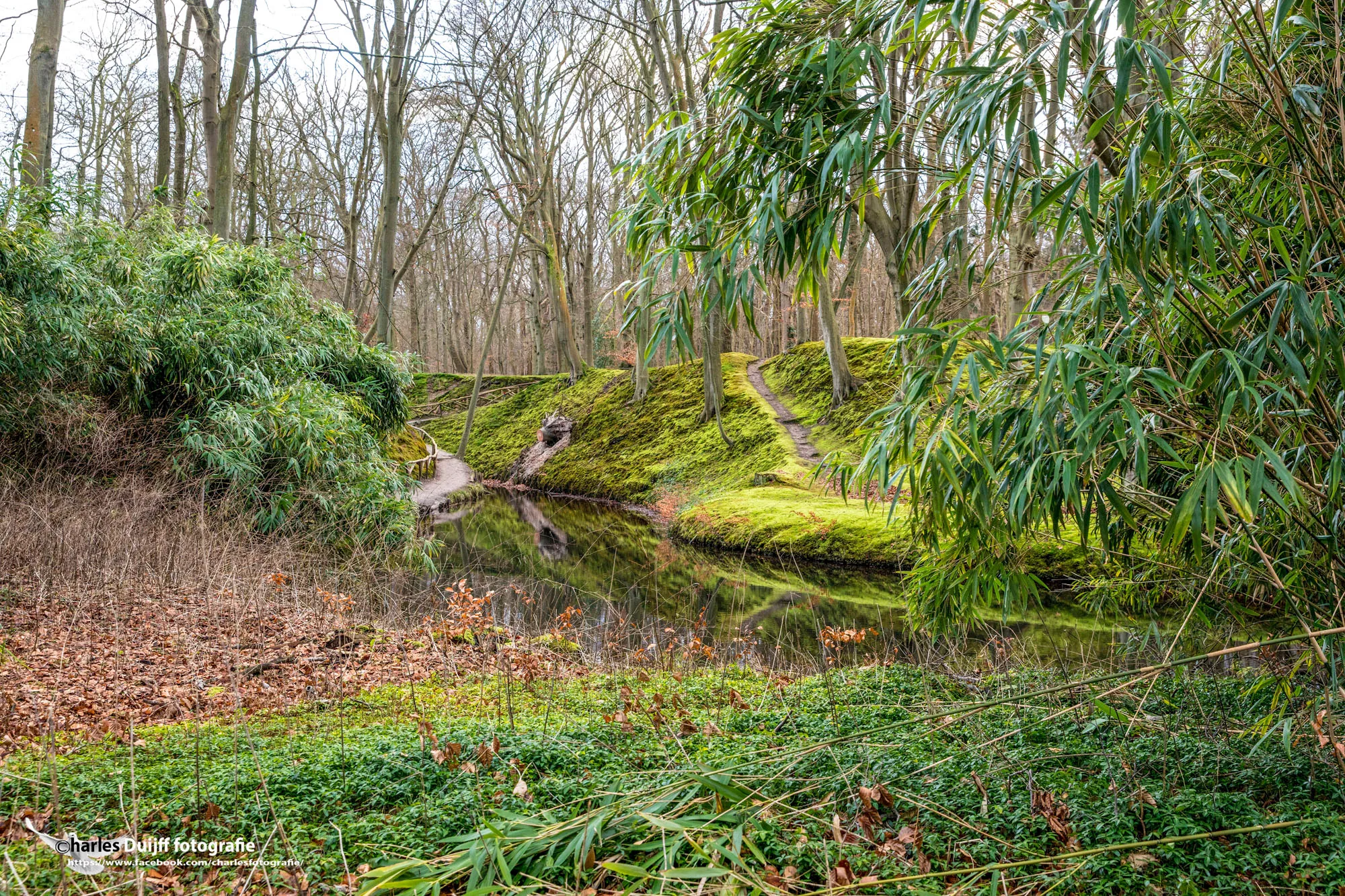elswout fraai