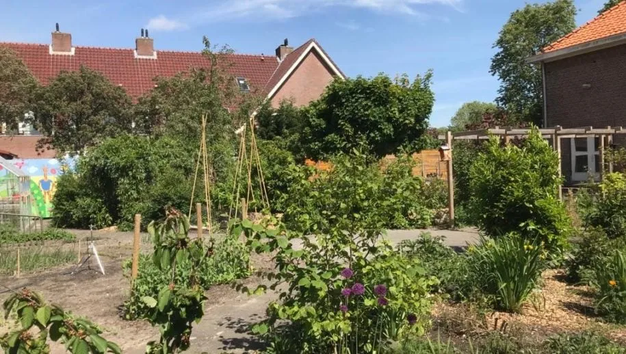 foto buurttuin mei 2020 915x518 1