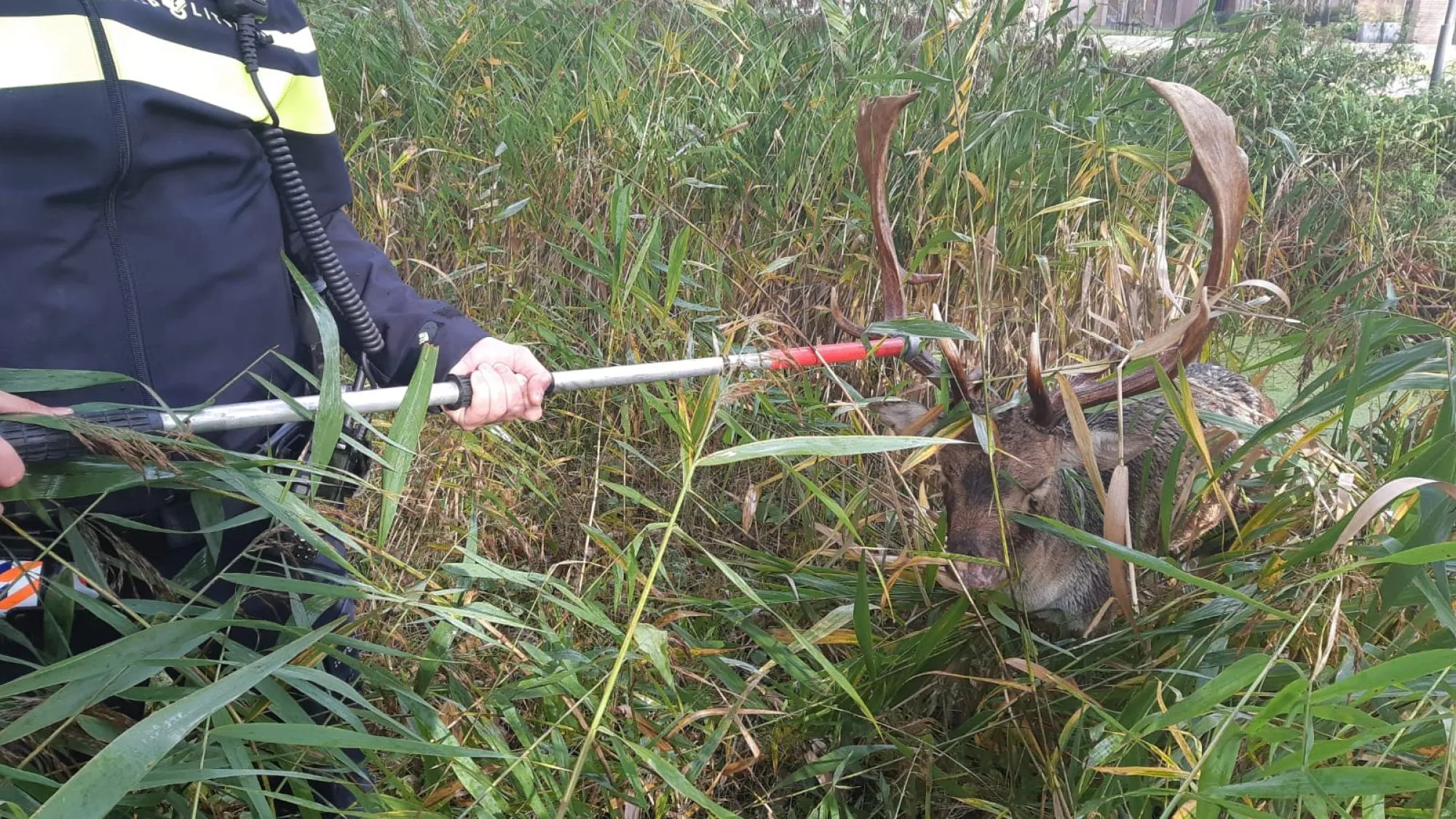 images b23e5660d234c8dad48ca91a40b648e6