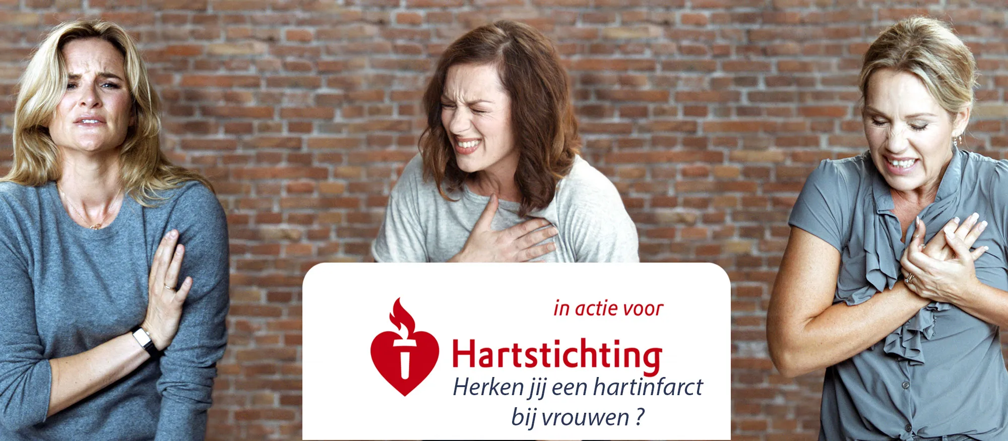 muur campagne beeldkopie