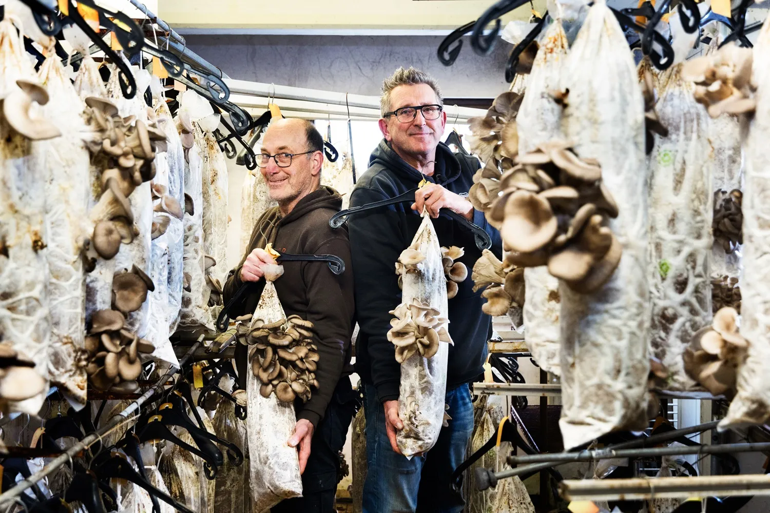 oesterzwammerij erik en michiel fotocredits fotostudio vlekke 1