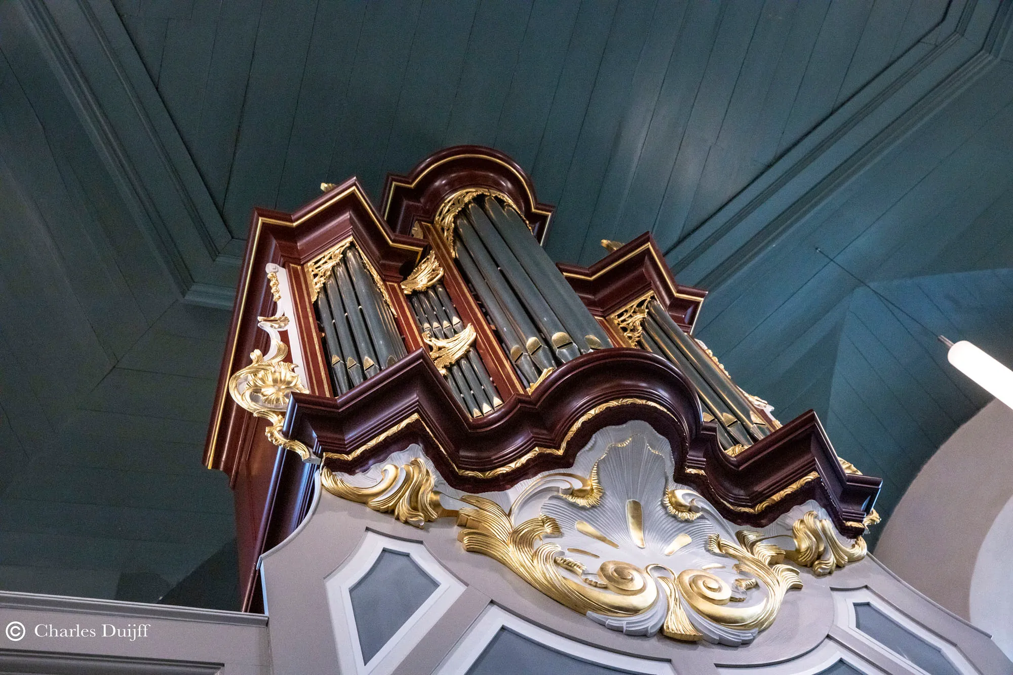 organ