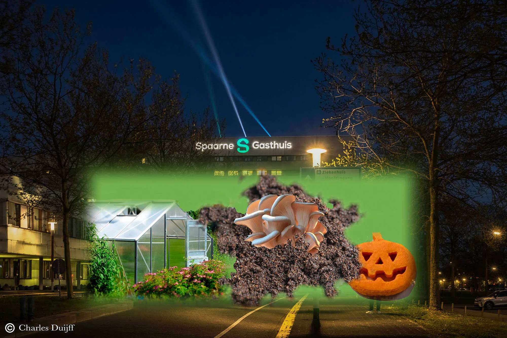 spaarne gasthuis voedsel