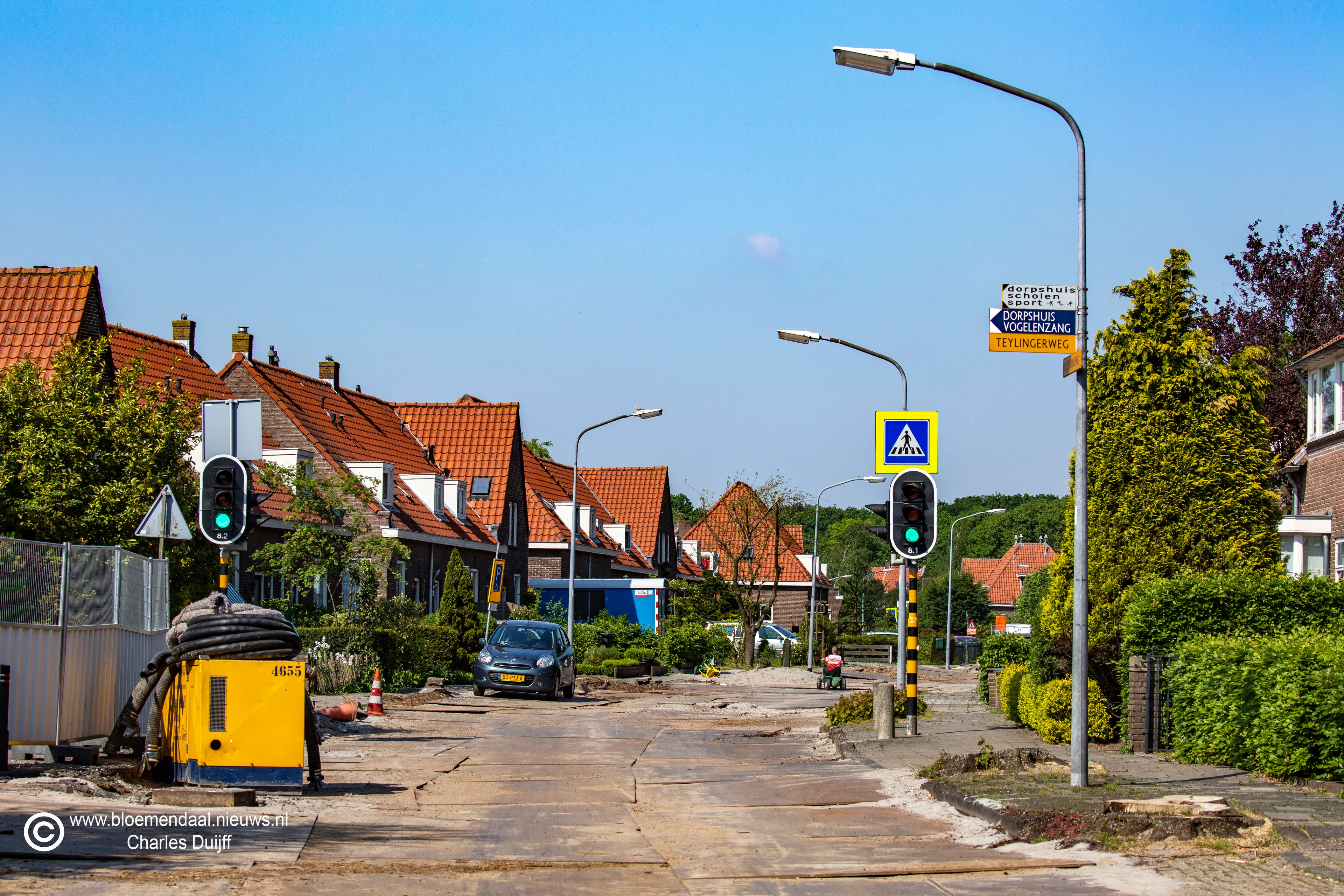 vogelenzang1