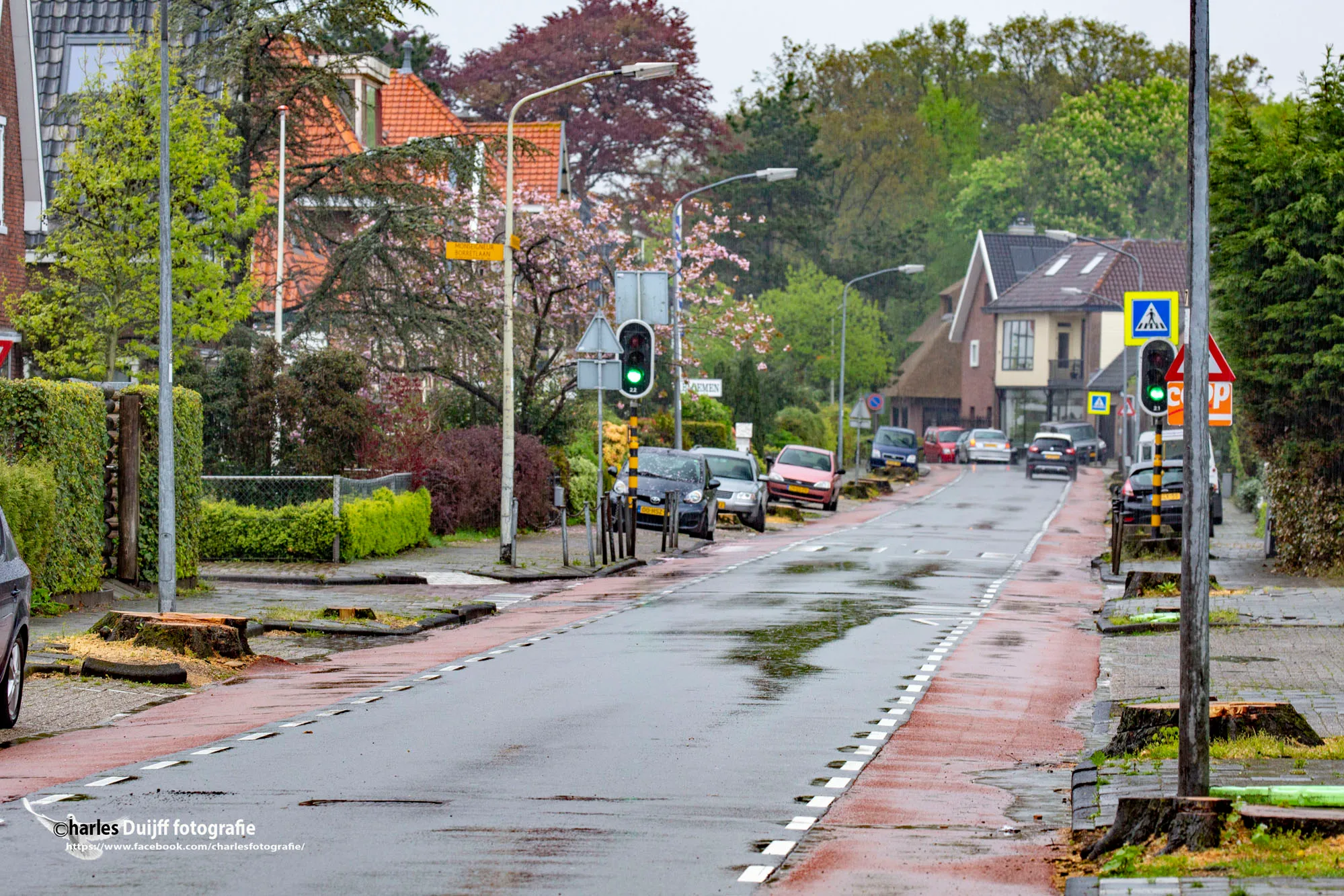 vogelenzangseweg dorp