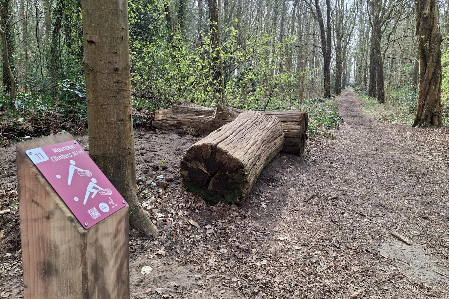 dbf8-019d1b0fa98273c1a094adbaedd8b8d8