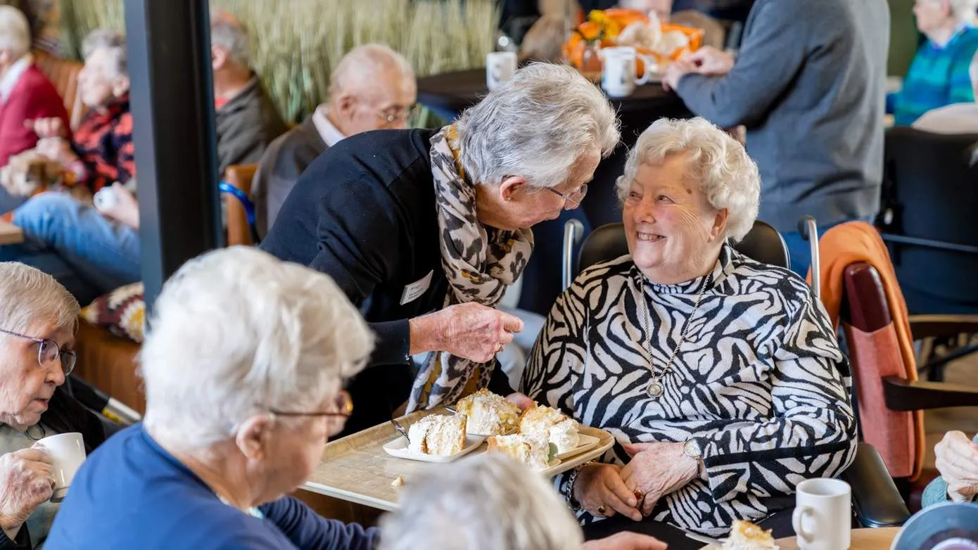 de paasbergen 50 jaar foto 1