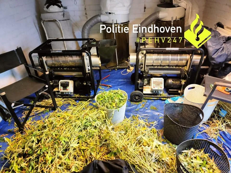 266338446 285680686933928 4727337011904841044 n