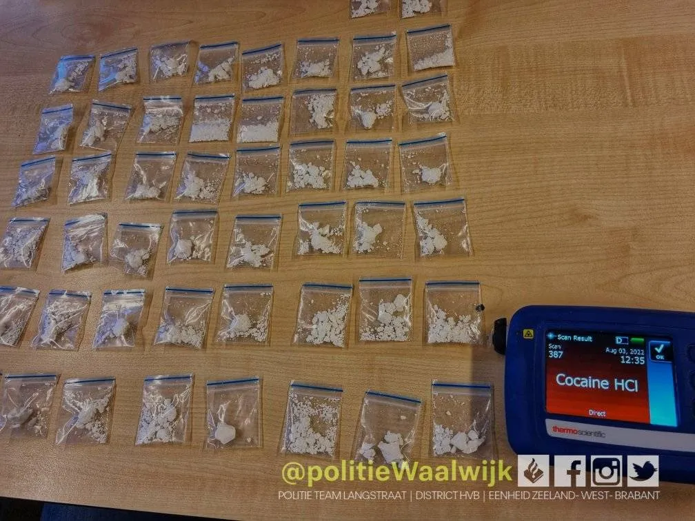 297508361 419924946835397 4650705168532979932 n