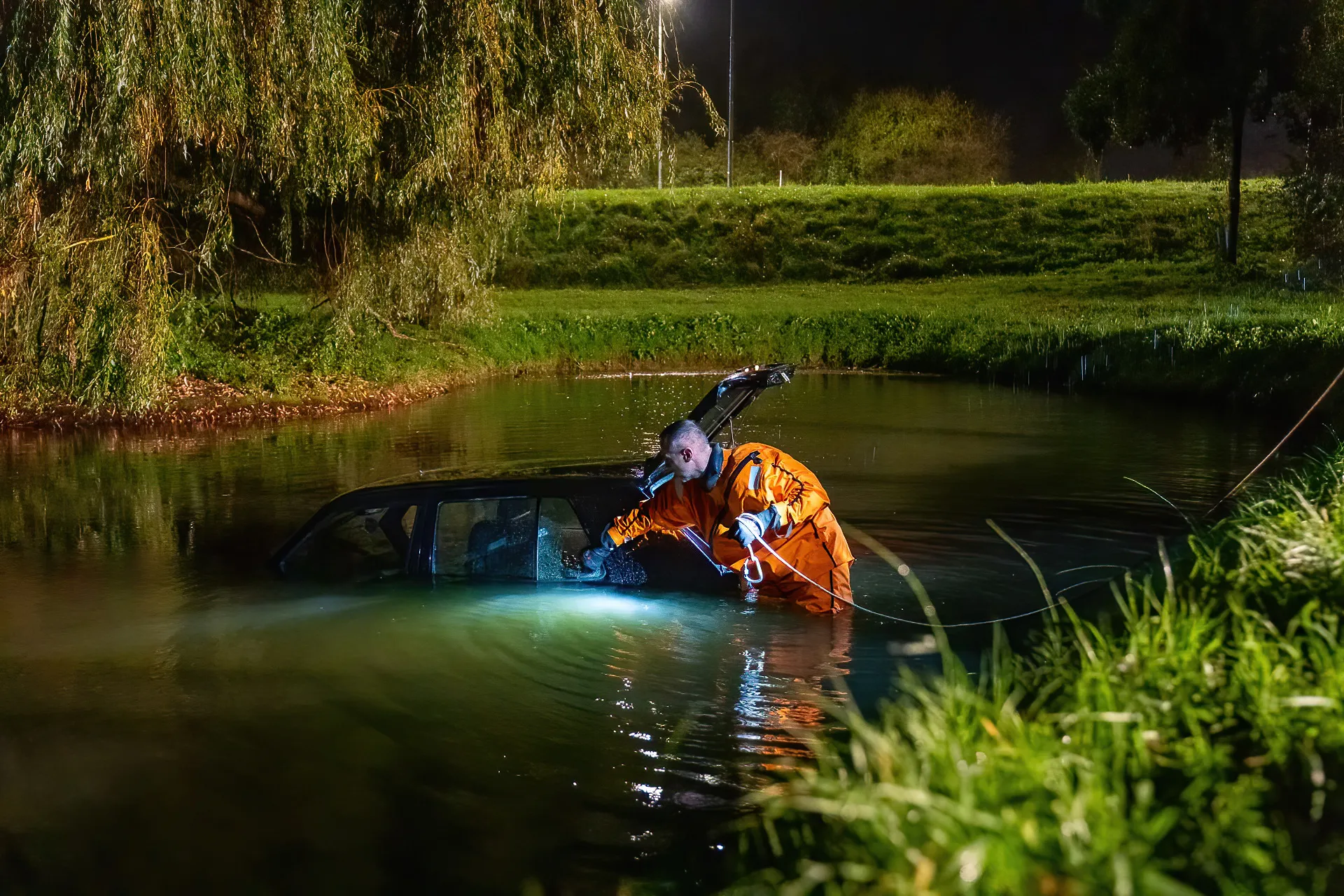 avp02307 denoiseai standard