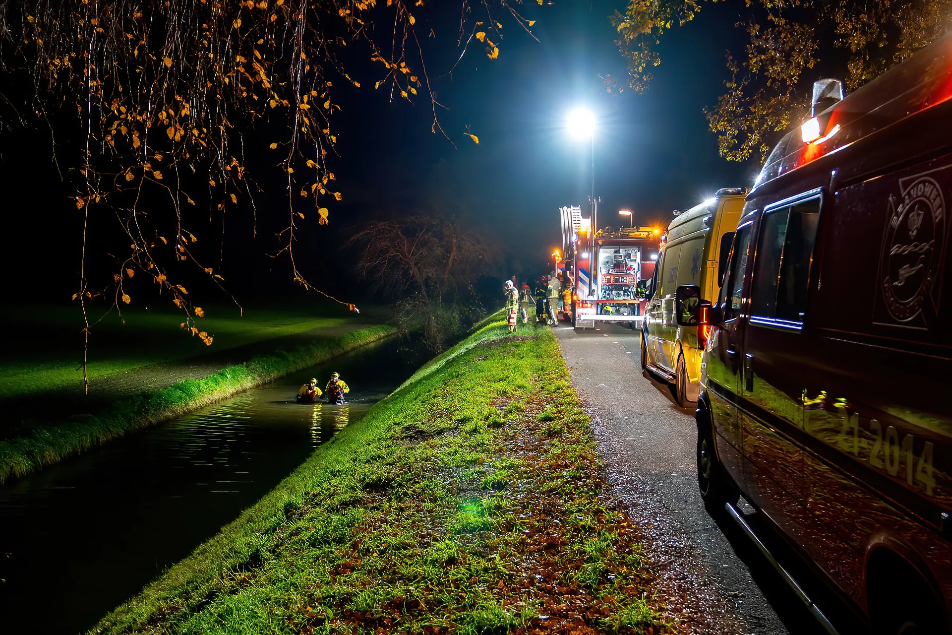 avp03305 denoiseai standard