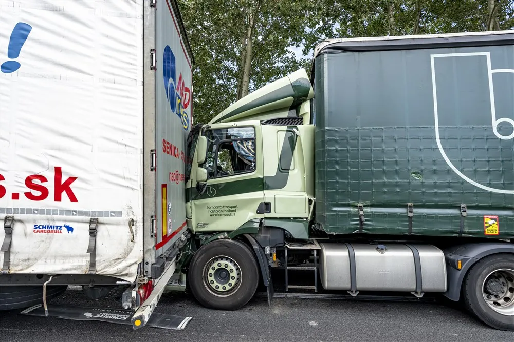 download 102164 s1000x1000