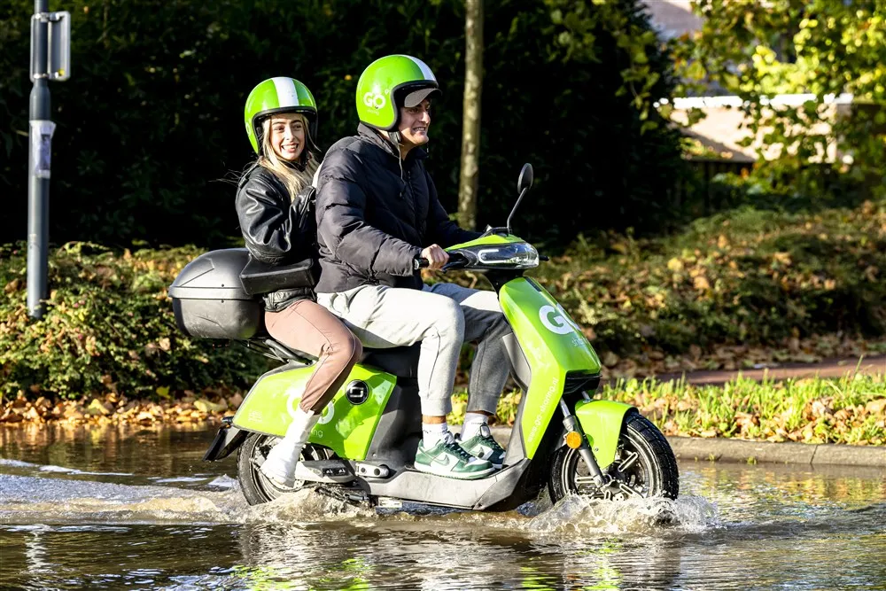 download 114254 s1000x1000