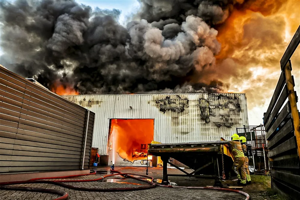 download 115386 s1000x1000