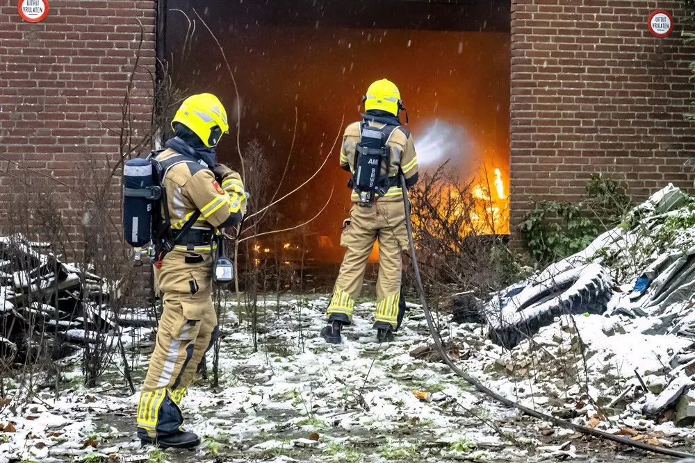 download 120216 s1000x1000