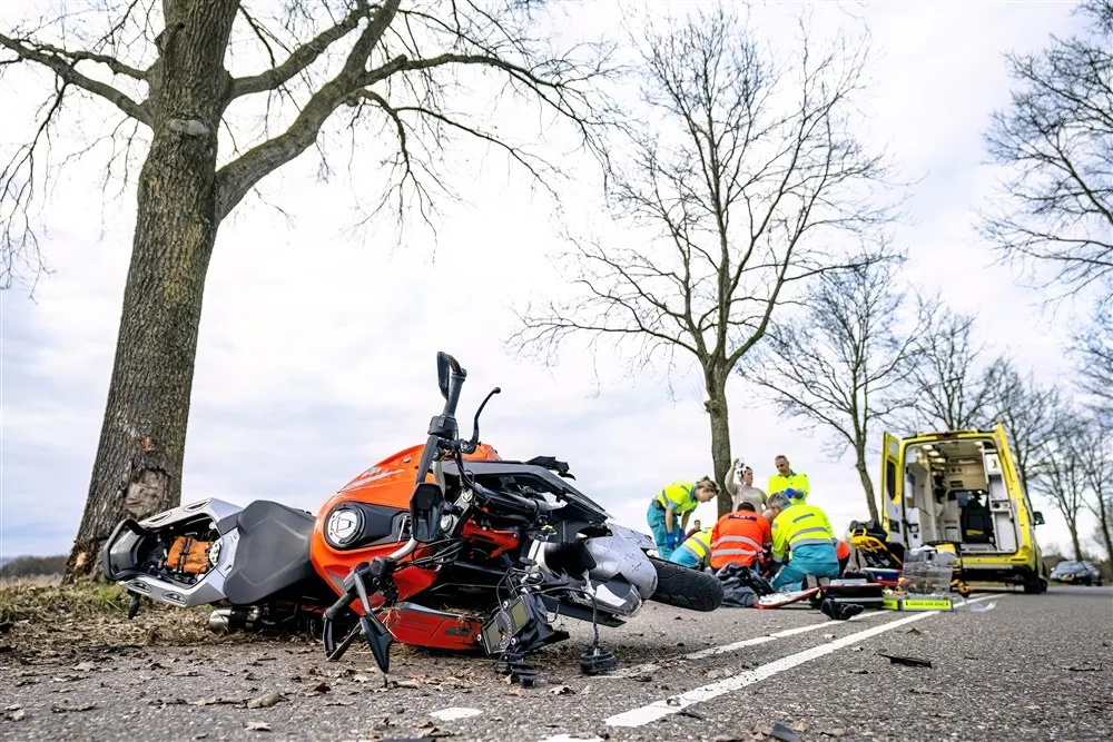 download 124980 s1000x1000