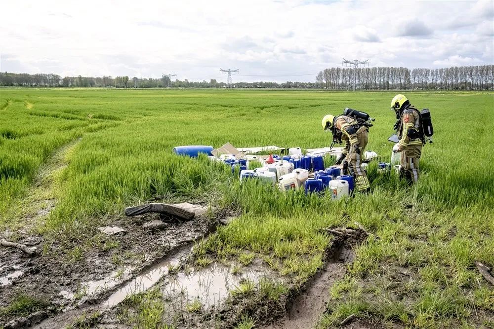 download 127860 s1000x1000