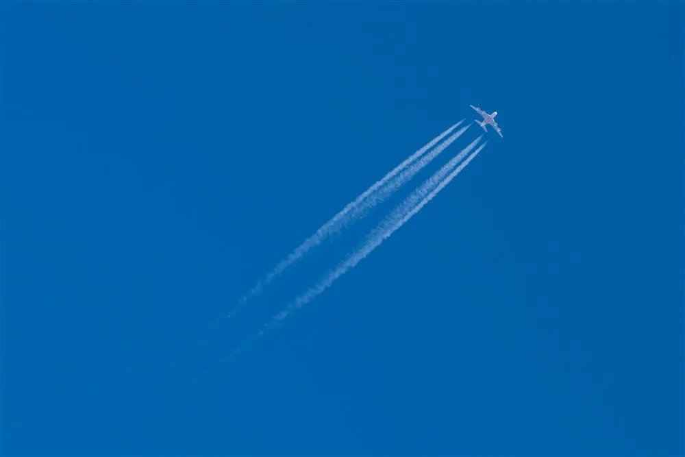 download 50724 s1000x1000