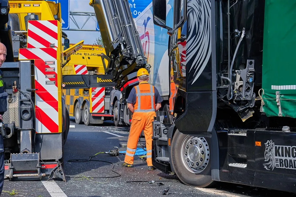 download 59662 s1000x1000