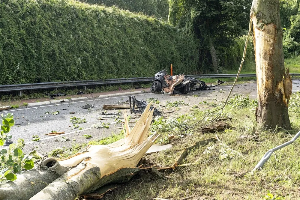 download 94646 s1000x1000