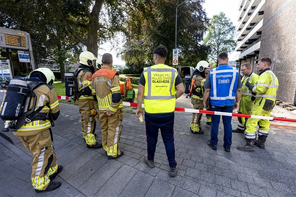 download 94662 s1000x1000