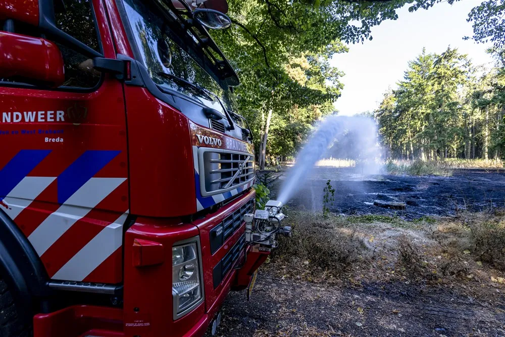 download 99261 s1000x1000