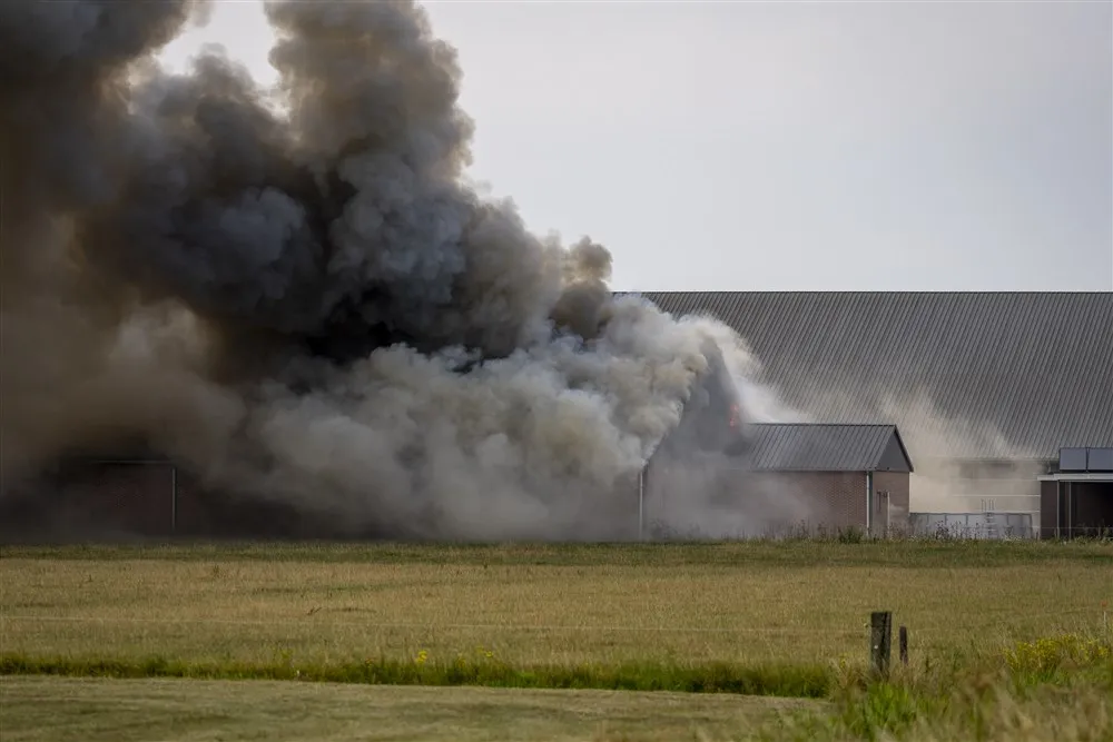 download 99485 s1000x1000