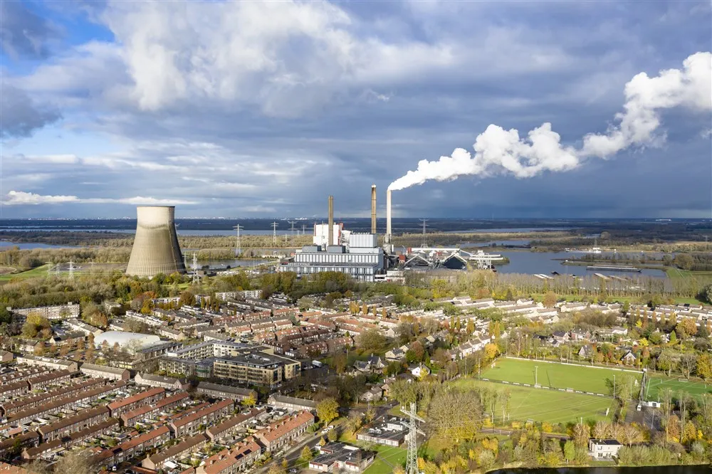 download scaled 1000x1000 21499