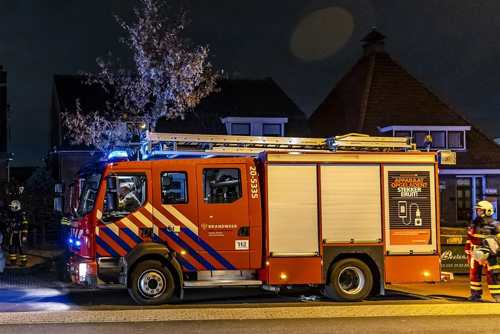 download scaled 1000x1000 22010