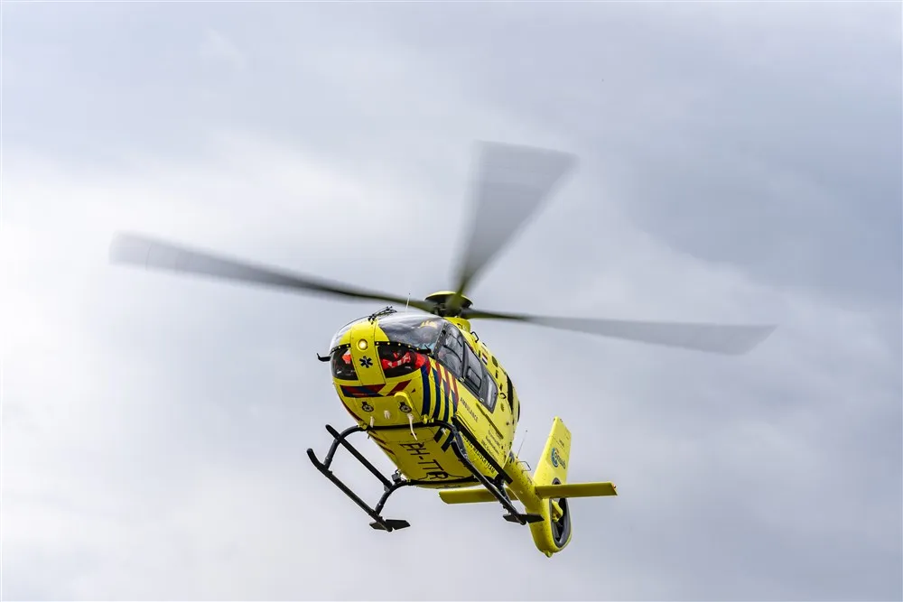 download scaled 1000x1000 22134