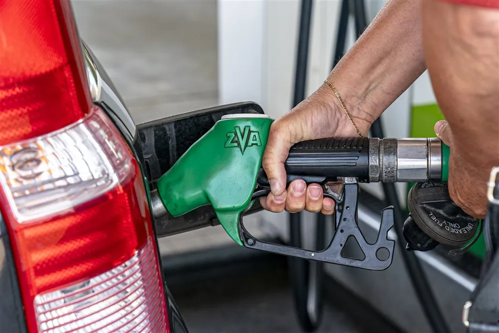 download scaled 1000x1000 22419