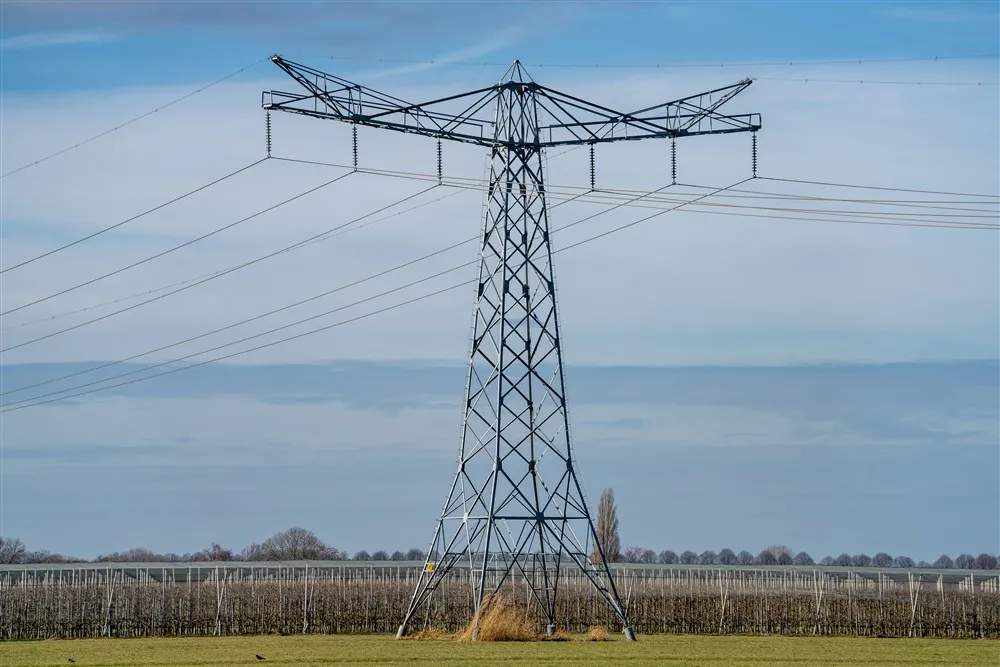 download scaled 1000x1000 37665