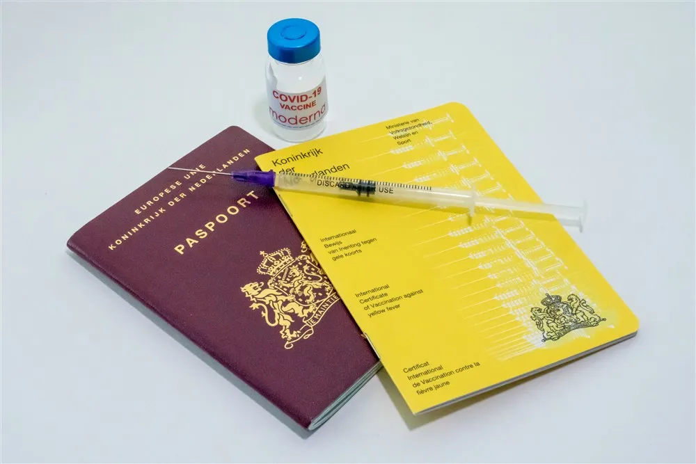 download scaled 1000x1000 47627