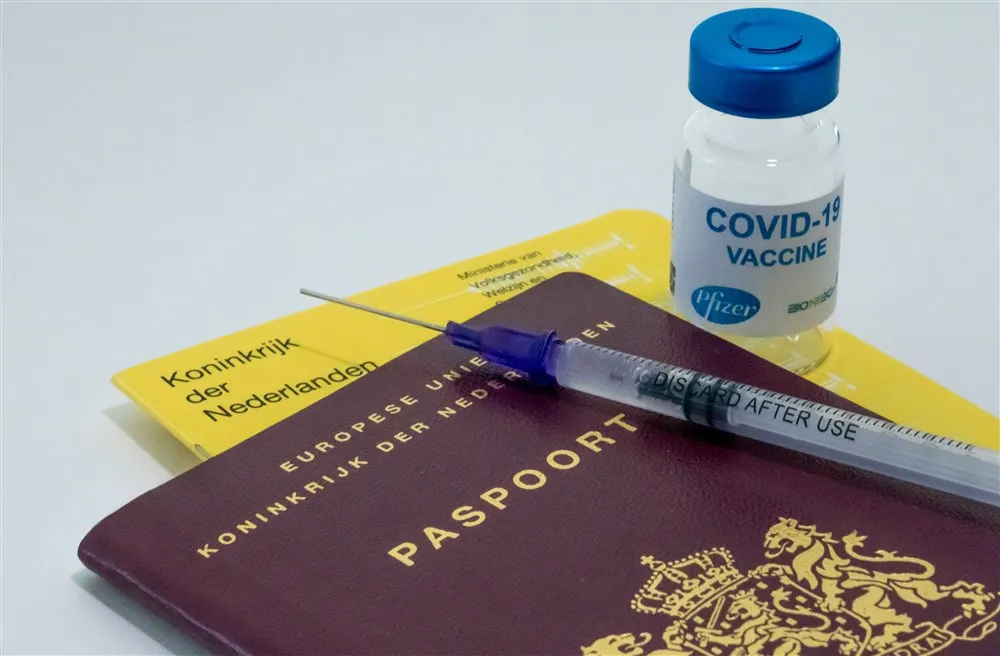 download scaled 1000x1000 47647