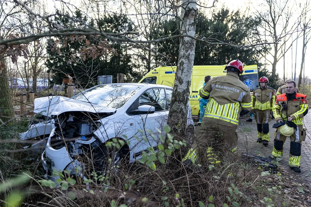 download scaled 1000x1000 68645