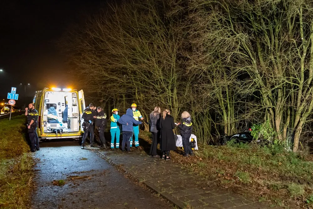 download scaled 1000x1000 69304